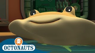 #StayHome Octonauts - Shocking! | Full Episodes | Cartoons for Kids