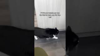 Link is in my Bio ‼️He’s currently hospitalized for liver issues. We appreciate all the help❤️