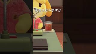 しずえ　麦茶　ウィスキー　#あつ森 #あつまれどうぶつの森 #しずえ