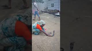 Bangla village snake show #bts #trending #viral #video