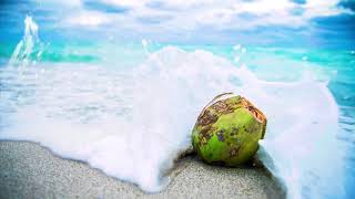 Summertime - Erik Lund ✰ FREE | NO COPYRIGHT music