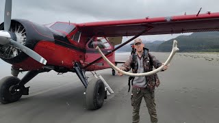 クジラの骨とハイイログマだらけの島で4日間ソロキャンプ