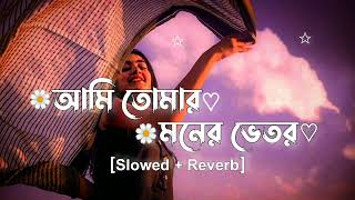 Ami Tomar Moner Vitor (আমি তোমার মনের ভেতর)_Habib Wahid_Nancy_Slowed&Reverb_Copy Music_2023_♡︎🦋