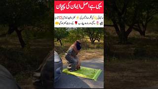 The journey paused, and worship began#trending#islamicvideo#islamic#islamicshorts#islamicreminder