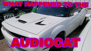 WHAT HAPPEND TO THE AUDIOCAT ?