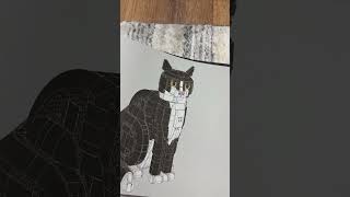 Funny Guy Builds Cat Lego with Yoda Head! 😂 #FunnyCrafts #funny #viral #fyp #tiktok #shorts