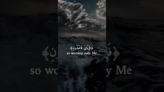 Every soul will taste death  #quran #recitation #quran
