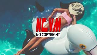 AWN - Guacamaya |No Copyright Vlog Music |Royalty Free Background Music