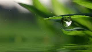 명상음악 힐링음악 -  치유음악 -  마음이 편안해지는 음악 - 스트레스 해소 음악 -  편안해지는 음악  - 휴식할때 듣는 음악 - 명상음악연속듣기 meditation Music