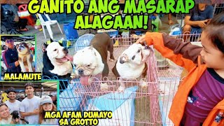 MAY HAMON SI SELLER!  GROTTO PET MARKET UPDATE? 8/24/25