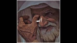 Molana tariq jameel whatsapp status |Heart touching whatsapp status #kind #shorts #subhanAllah #haye