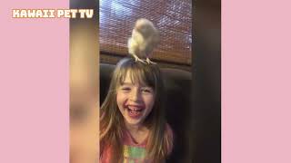 「ダチョウがスピード運動会をする姿がスリル満点」「ハスキー犬がオオカミに向かって吠える瞬間」「ニシンの大群に襲われる鳥たちの奇跡の逃走劇」#shorts