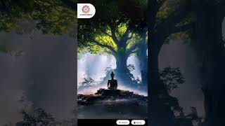 The Enlightened Path: Story of Lord Buddha 🕊