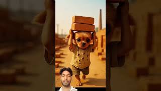 masoom gareeb puppy ki book 📚 😭 #puppyvideos #puppy #shortfeed #puppystory #amirgaribkikahani
