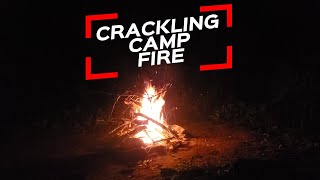 Nighttime Camp Fire Ambience: Relaxing Crackling Fire Under the Stars