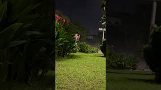 #rahulsipligunj #ganeshchaturthi #trendingshorts #trend trendingreels #feedshorts @nikhilmakings