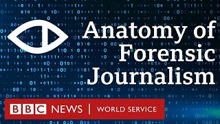 How 'open-source' journalism transformed investigations at the BBC - BBC World Service