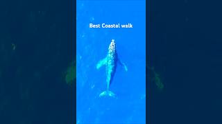 walking the edge of the World #scenicbeauty #ScenicWalks #SeasideWalk #weddingcakerock #viral