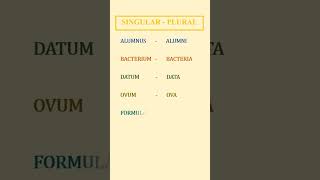 SINGULAR-PLURAL #shorts #shortvideo #youtubeshorts #trending #english #vocabulary #ytshorts #words