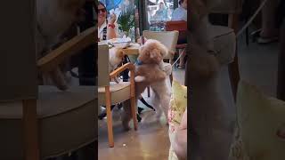 ビックリ　ドッキリ　仰天　動画043