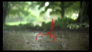 Rag_Koirona_Moner_Manush_|Shilpi_Biswas|Neru|Pronome_Nafi|Zeree|Kabbik_Polash|তুমি_যা_বলবা_সব_কথা