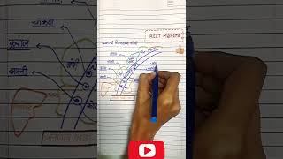 REET Mains Level 1  || चम्बल सहायक नदियाँ॥ REET mains bhugol ॥