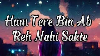 hum tere bin ab reh nahi sakte || tum hi ho || tum hi ho slowed reverb || tum hi ho ab