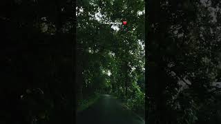 In love with This Weather! #travel #incredibleindia #nature #kerala #athirappilly