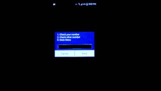 How to use the USSD service