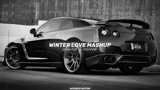Winter Love Mashup (Slowed + Reverb) - Shubh x Chani Nattan