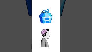 Those who know 💀 #roblox #bloxfruits