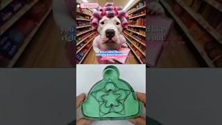 smarter chihuahua #memes #funnycrafts #shorts