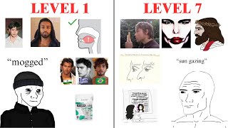The 7 levels of Looksmaxxing