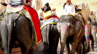North India, Rajasthan: Land of Maharajas