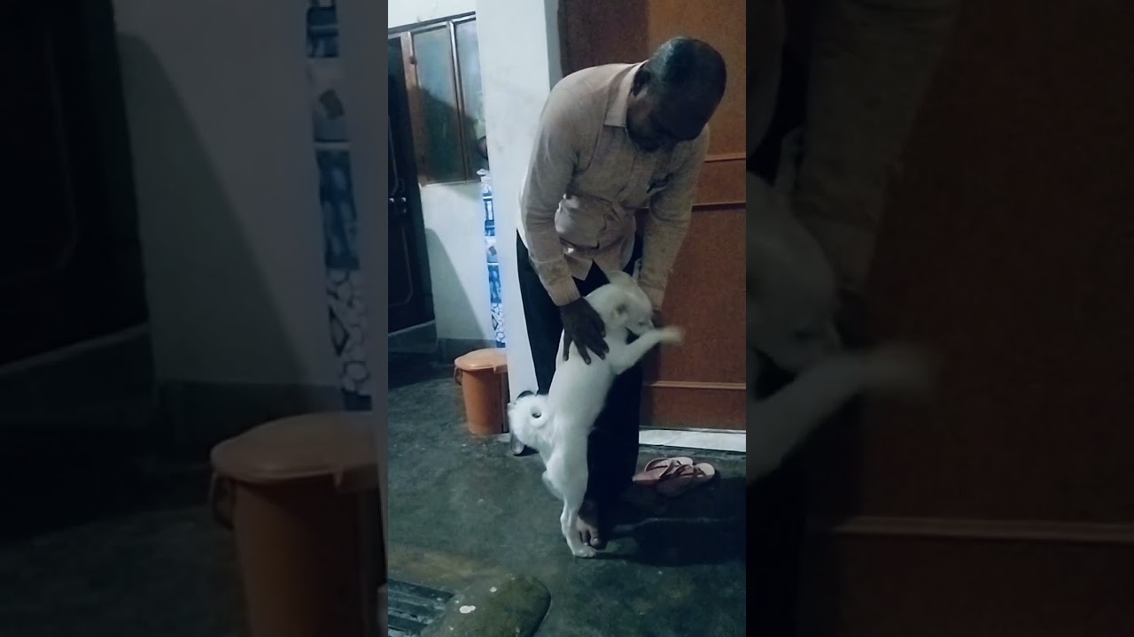 サムネ
