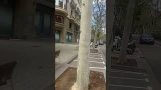 Barcelona spain#travelvlogbangla