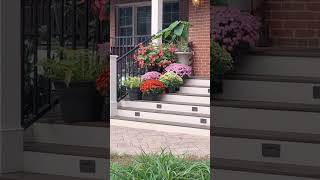 #frontdoor  #flowers  #home