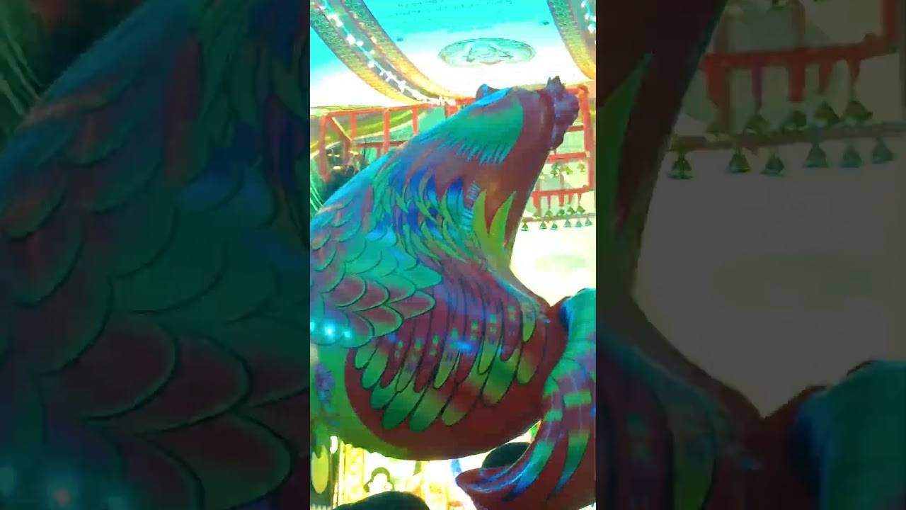 サムネ