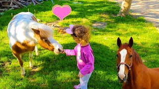 סוסים 🐎 חיות לילדים עם סוסים לילדים 🐴 בעלי חיים לילדים