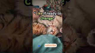 Change Your Words Change Your Life #Motivation #lifetip tricks #Motivation #Life #DailyMotivation