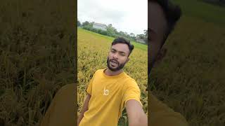 Ami bhai gramer pola