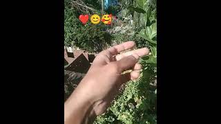 ভালোবাসার কাউকে ধরে রাখতে নেই।যে থাকার সে কারন ছাড়াই থেকে যাবে💔🥰😍