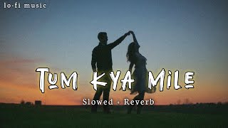 Tum Kya Mile Arijit Singh (Slowed + Reverb) Lofi Music