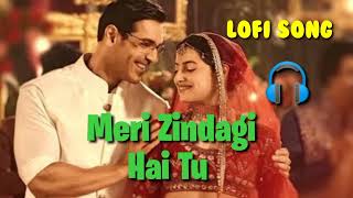 Meri Zindagi Hai Tu Lofi Song ( Slowed) #merizindagihaitu #merizindagihaitujubinnautiyal #lofimusic