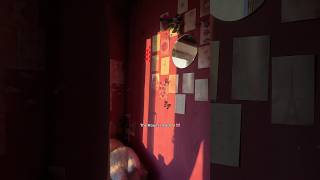 Is it worth  efforts?🙂#hostellife #roommakeover #studentlifeabroad #roomtransformation #hostelroom