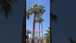 Not lost, just exploring #solotravel #femaletravel