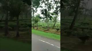 #nature #love #jiskeaanesemukammalhogayithizindagisong #dancemusic