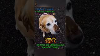 Ranking UNBELIEVEABLE Animal moments #short #rankingshorts #ranking