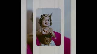 #jayajanardhana krishna radhika pathe#krishna status#krishna getup for kids