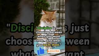 "Stop waiting for the right time #Motivation #SuccessTips #SelfImprovement #LifeLessons #dailylife